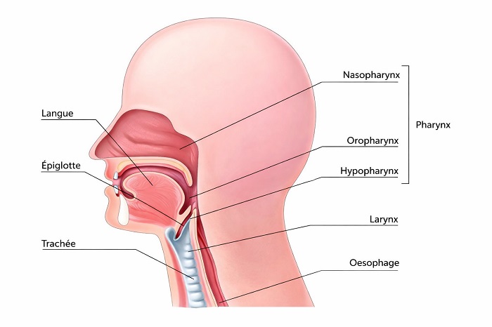 reflux nasopharyngé